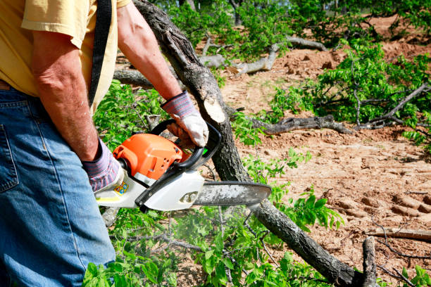 Leaf Removal in Golden Triangle, NJ